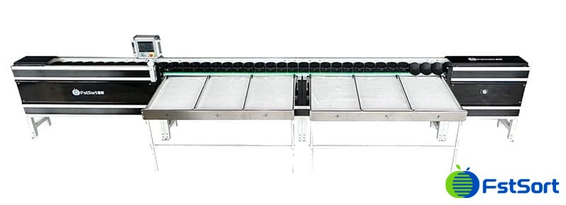 images/1740042939837Clasificador de peso de fruta.jpg